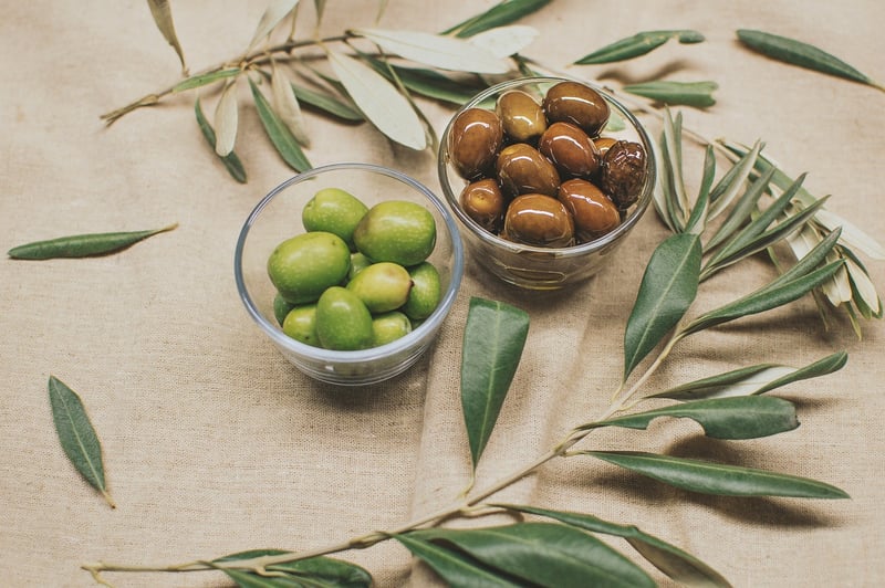 Mediterranean Fusion